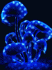 anim240320mobildesign.atw.hu_0212.gif